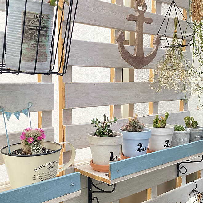 セリアの鉢 ダイソーの鉢リメイク ダイソー雑貨 すのこリメイク サボテンの花 などのインテリア実例 22 05 13 15 58 40 Roomclip ルームクリップ