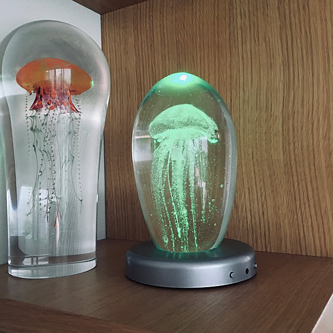 家で楽しむ Stay Home インテリア雑貨 涼しげ クラゲの水族館行きたい などのインテリア実例 21 06 24 08 45 10 Roomclip ルームクリップ