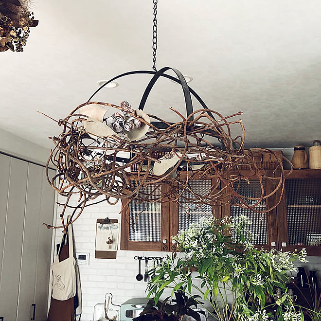 雲竜柳 リース 生花 ユーフォルビア ダイヤモンド フロスト いつも見てくれてありがとう などのインテリア実例 12 09 10 46 42 Roomclip ルームクリップ