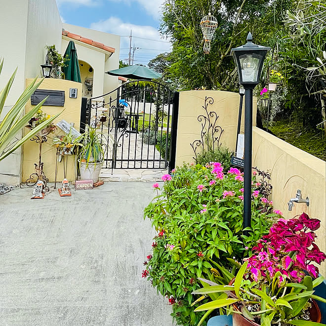 ガーデニング 沖縄 Okinawa 庭 アプローチ などのインテリア実例 22 04 16 12 46 57 Roomclip ルームクリップ