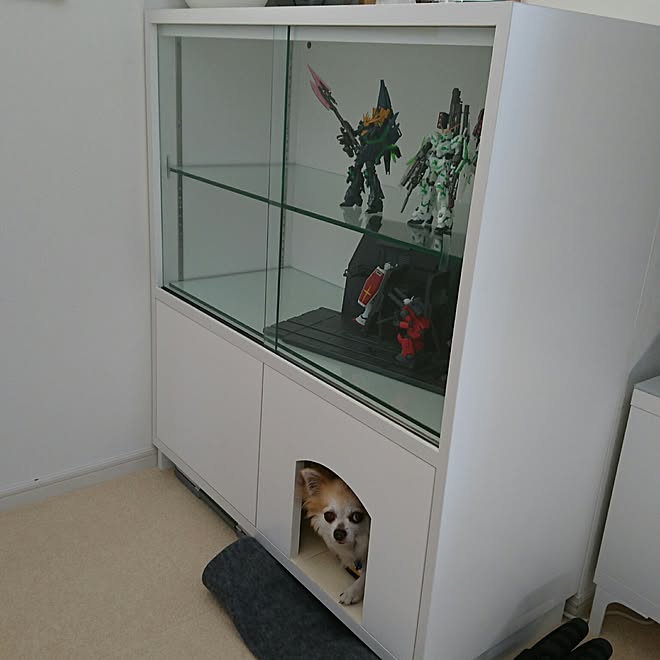 リビング/犬小屋/注文家具のインテリア実例 - 2016-08-06 10:40:56