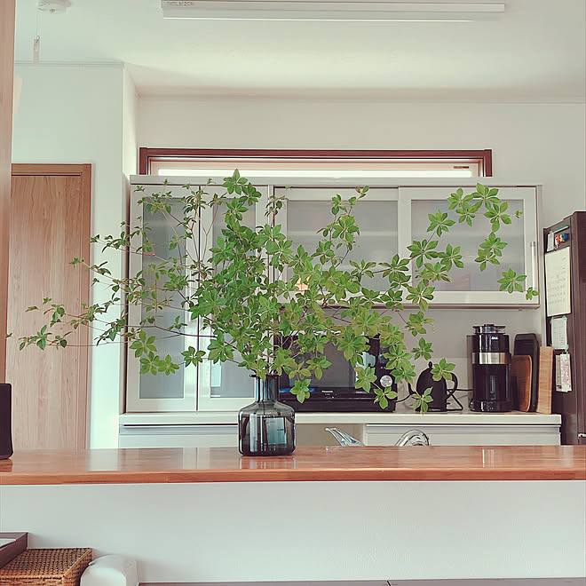 Ikea 花びん 植物のある暮らし フラワーベース ドウダンツツジ などのインテリア実例 21 07 06 23 56 54 Roomclip ルームクリップ