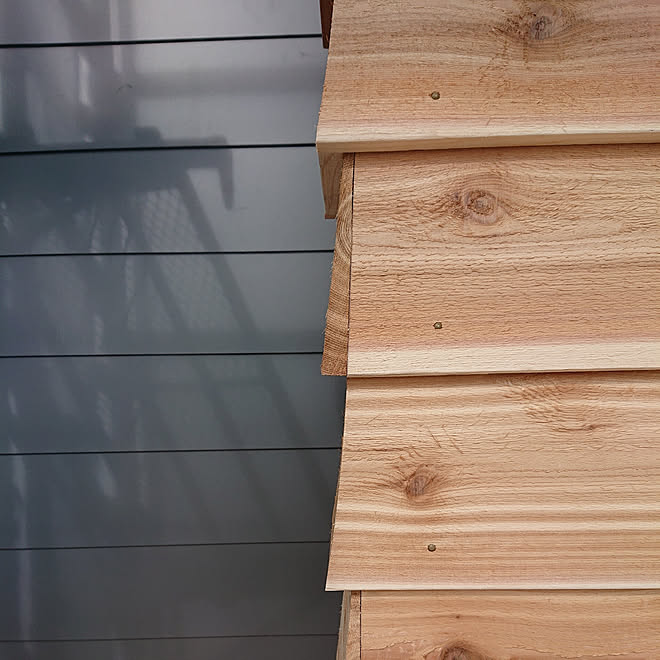 壁 天井 Sfビレクト レッドシダーの外壁 レッドシダー鎧張り 下見張り などのインテリア実例 19 11 26 01 07 24 Roomclip ルームクリップ