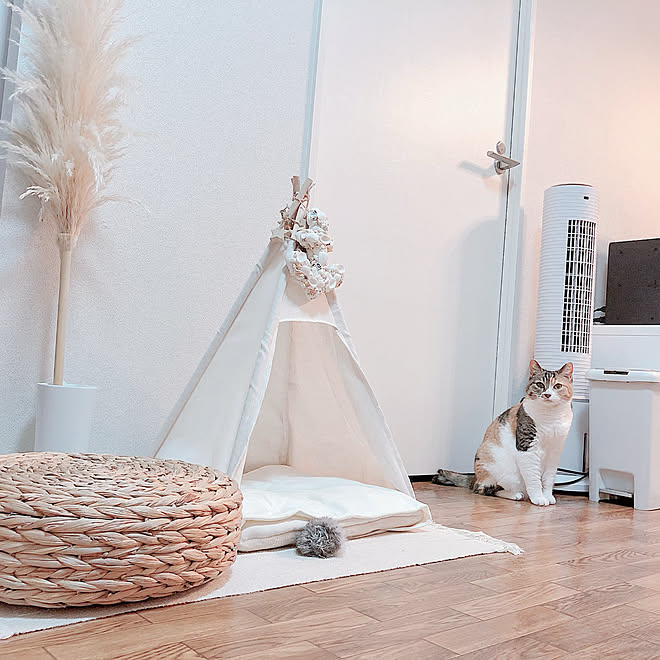 ペットベッド ペットと暮らすインテリア スリコのペットテント 3coins ペットテント などのインテリア実例 21 08 08 21 11 32 Roomclip ルームクリップ