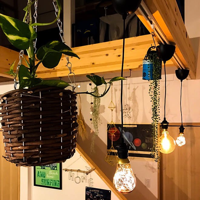 ペンダントライト 吊り下げ観葉植物 Ikeaの照明 リビングのインテリア実例 10 10 19 54 23 Roomclip ルームクリップ