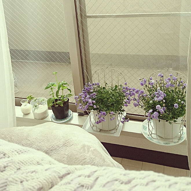リビング 花のある暮らし 紫が好き カンパニュラ フレンチガーリー などのインテリア実例 18 05 25 09 00 14 Roomclip ルームクリップ
