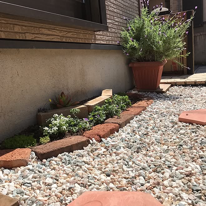 机 机ではありませんが 庭 低予算 10年振りの庭造り などのインテリア実例 17 05 02 09 19 03 Roomclip ルームクリップ