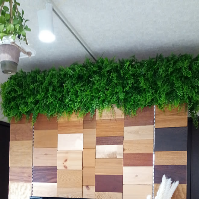 棚 フェイクグリーン カインズホーム Diy 観葉植物のインテリア実例 04 12 10 02 49 Roomclip ルームクリップ 棚 フェイクグリーン カインズホーム Diy 観葉植物のインテリア実例 04 12 10 02 49 Roomclip ルームクリップ