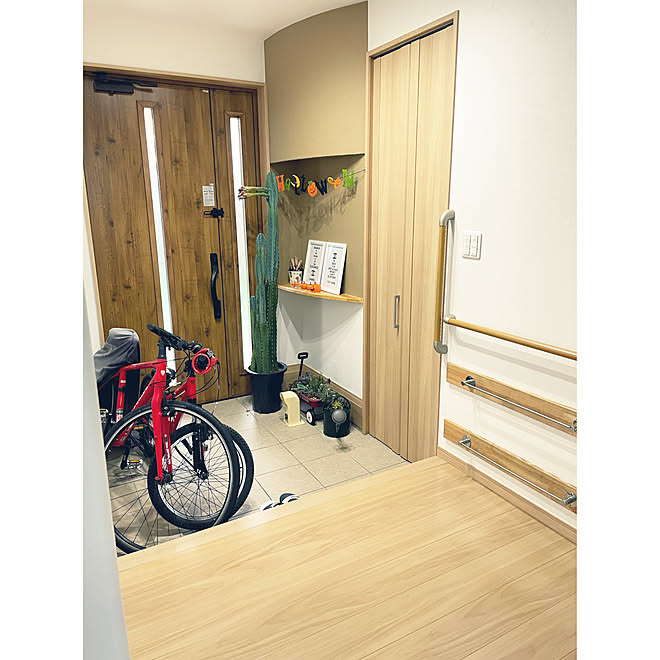 TREK/自転車/ハロウィン/グリーンのある暮らし/柱サボテンなどの