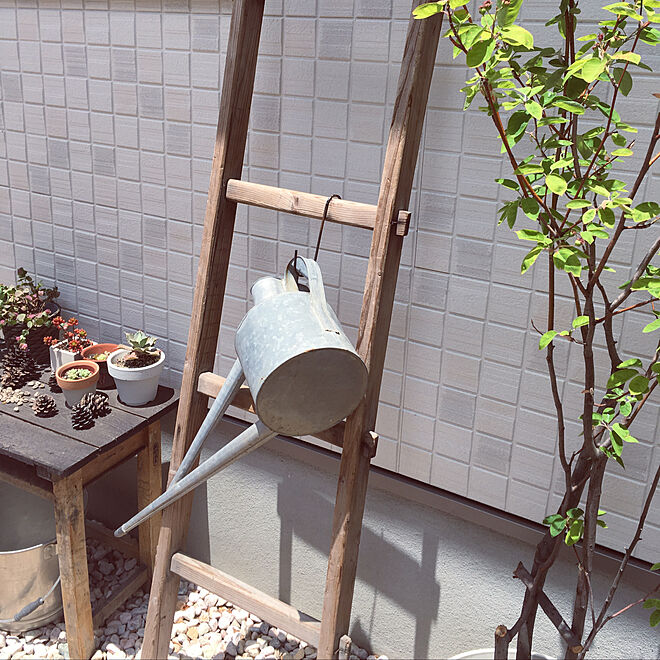 ちいさなお庭 ガーデニング 古家具 植木 はしご などのインテリア実例 19 05 15 22 40 37 Roomclip ルームクリップ