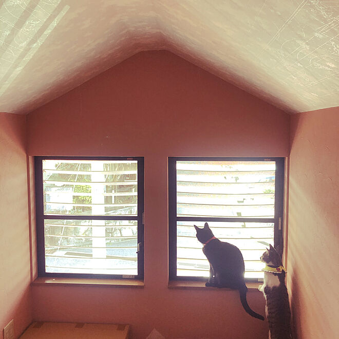 猫 を 屋根裏 から 出す 方法