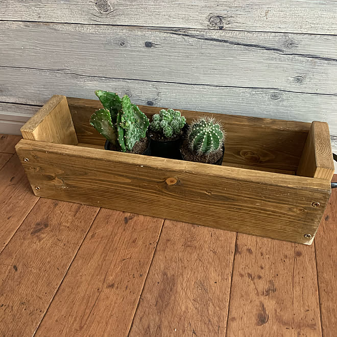 アイアンペイント サボテン 多肉 プランターdiy 西海岸インテリア 観葉植物 などのインテリア実例 07 24 14 21 19 Roomclip ルームクリップ