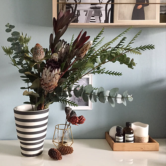 ニコライ バーグマン 壁紙 間違い探し イラスト