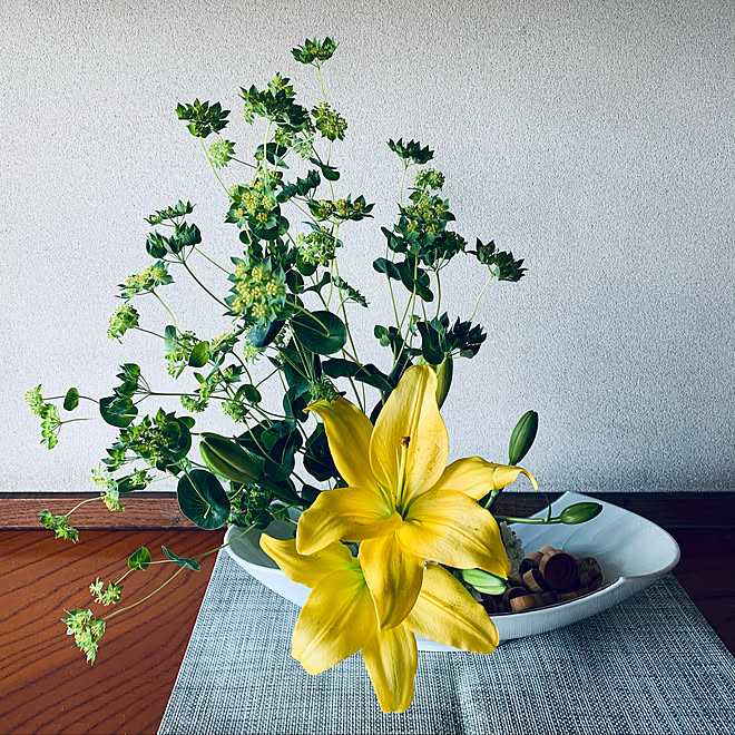 いつも応援ありがとうございます 感謝 私の花言葉は とお い とお い昔 黄緑色のブプレウルムが大好きです 黄色のユリに惹かれました 玄関 入り口のインテリア実例 11 11 16 19 51 Roomclip ルームクリップ