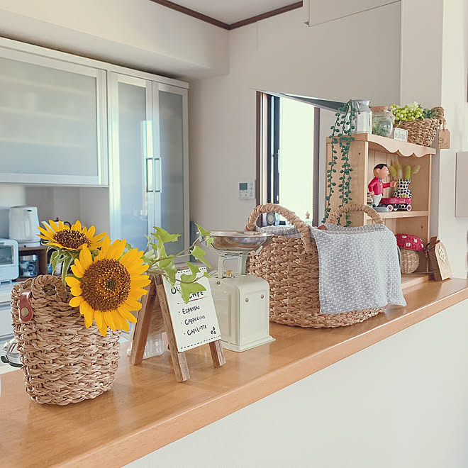 帰ってくるともう帰ってきちゃったと思う 最近旦那にイライラする 地味に暑い 明日も子守りに付きペグできない パカのペグを見てこれからダイソーへgoー などのインテリア実例 21 08 03 13 13 56 Roomclip ルームクリップ