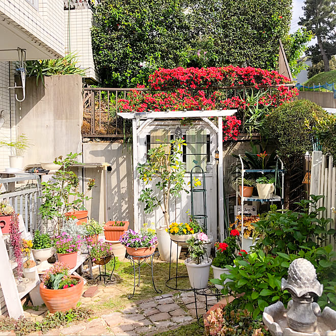 小径 ツツジ開花 パーゴラ マンションの庭 春の庭 などのインテリア実例 21 04 08 21 36 Roomclip ルームクリップ