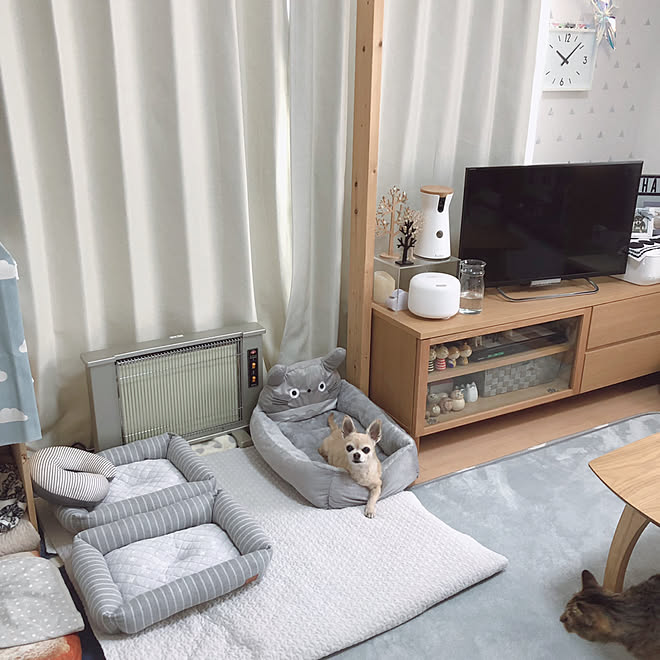 ペットスペース ペットベッド Idog Icat ベッド周り 接触冷感のインテリア実例 19 05 12 10 27 13 Roomclip ルームクリップ