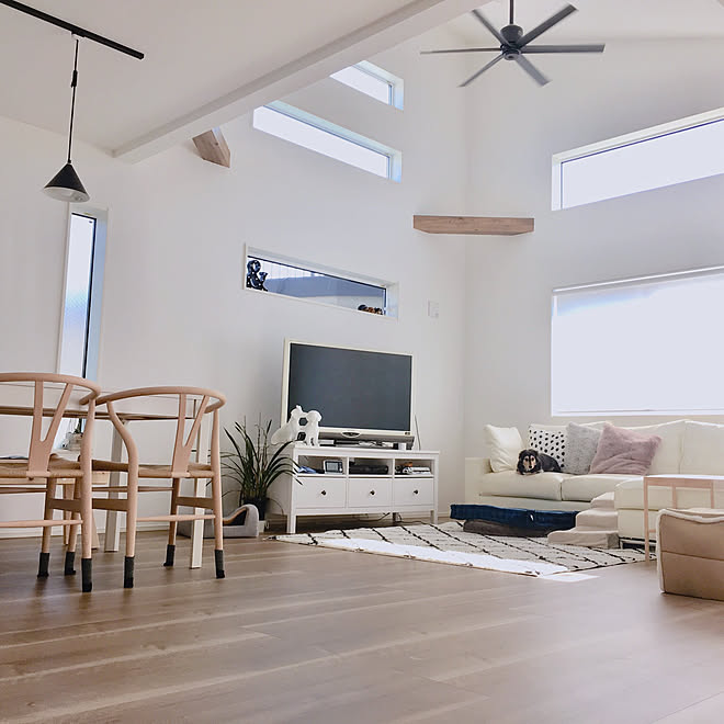 マイホーム 犬のいる暮らし リビング Yチェア シンプル などのインテリア実例 19 04 04 14 53 54 Roomclip ルームクリップ