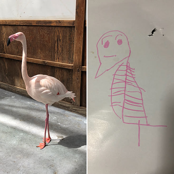 バス トイレ 孫の絵 掛川花鳥園 フラミンゴのインテリア実例 18 07 03 18 48 46 Roomclip ルームクリップ