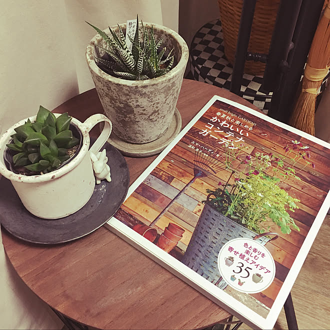 多肉植物 ハオルチア 寄せ植え リビングのインテリア実例 03 11 11 40 Roomclip ルームクリップ 多肉植物 ハオルチア 寄せ植え リビングのインテリア実例 03 11 11 40 Roomclip ルームクリップ