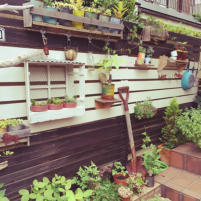 玄関/入り口/DIY/雑貨/ハンドメイド/多肉植物...などのインテリア実例 - 2015-06-18 14:13:36