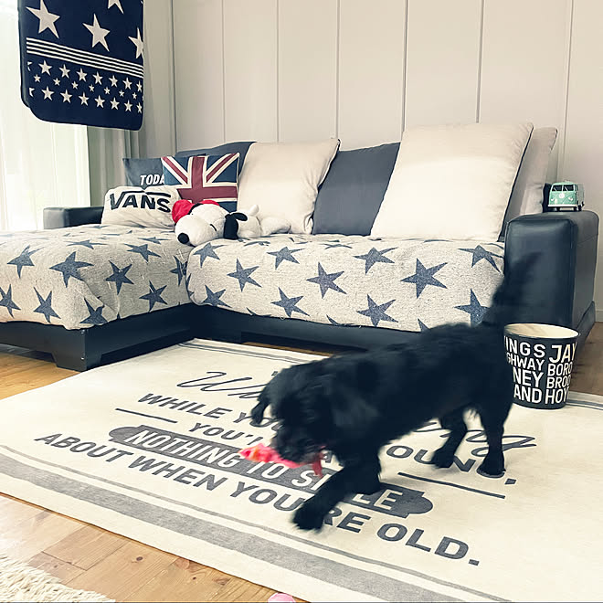 ラグ スヌーピー ソファーカバー ソファー カリフォルニアスタイルに憧れる などのインテリア実例 21 07 19 08 57 06 Roomclip ルームクリップ