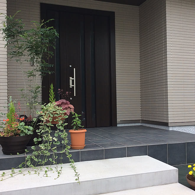 ユーカリ シマトネリコ 寄せ植え 積水ハウス 平屋 などのインテリア実例 19 07 05 12 11 32 Roomclip ルームクリップ