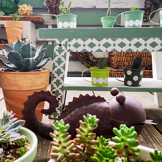 玄関 入り口 オブジェ 多肉植物 置物 マンション などのインテリア実例 21 05 25 07 46 16 Roomclip ルームクリップ