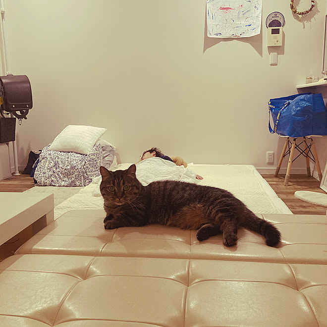 新たなるチャレンジ 賃貸ワンルーム ズボラ主婦 子供と暮らす ふたり暮らし などのインテリア実例 21 05 27 22 19 30 Roomclip ルームクリップ