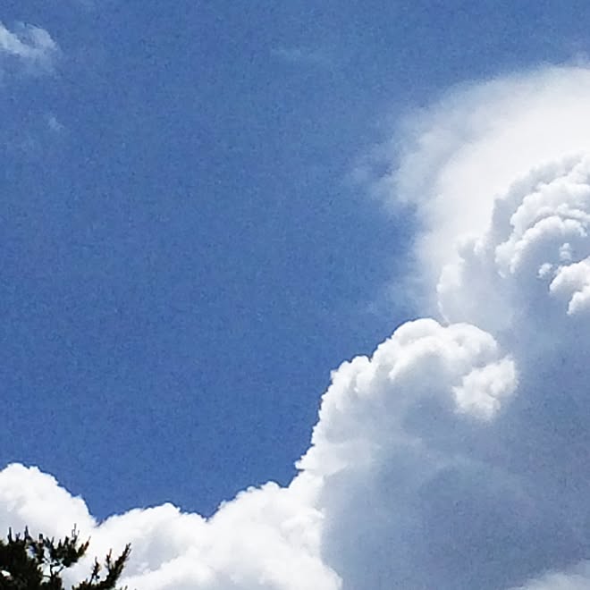 スカイブルーの空/空/白馬高原のインテリア実例 - 2015-06-21 15:00:59