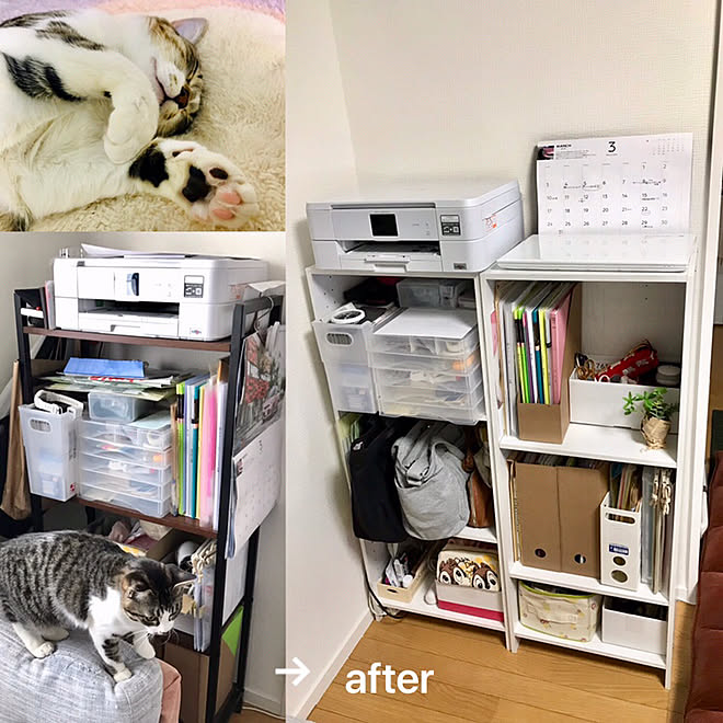 書類整理 カラーボックス ねこのいる日常 ニトリ 棚のインテリア実例 19 03 12 19 19 38 Roomclip ルームクリップ