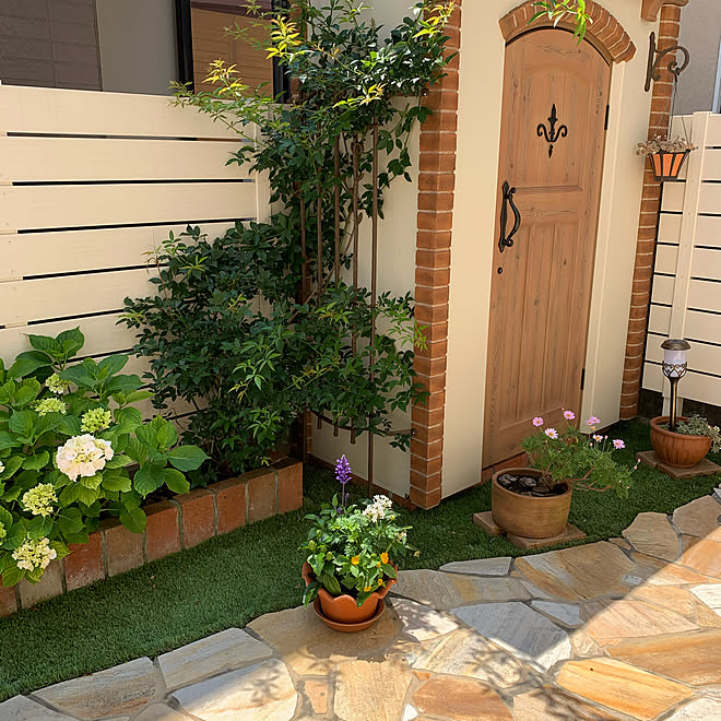 ハイビスカス ブルーサルビア 寄せ植え 小屋 5 24 などのインテリア実例 05 24 13 32 Roomclip ルームクリップ