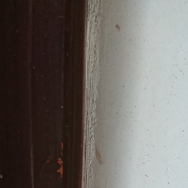 Diy女子 古民家 Diy初心者 漆喰壁 古民家暮らし などのインテリア実例 18 12 04 12 17 13 Roomclip ルームクリップ