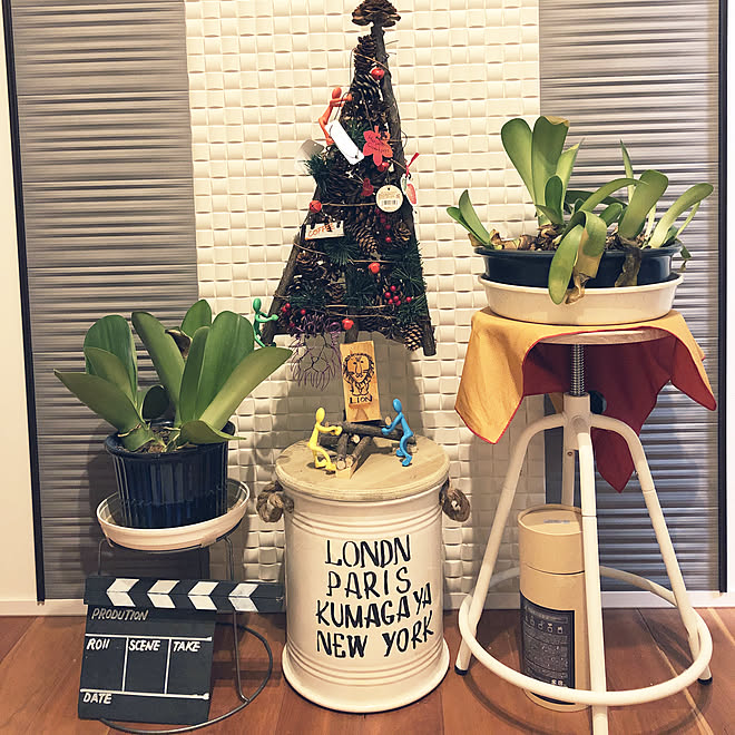 玄関/入り口/観葉植物 /雑貨/自作/いいね!ありがとうございます♪...などのインテリア実例 - 2018-11-21 20:55:45