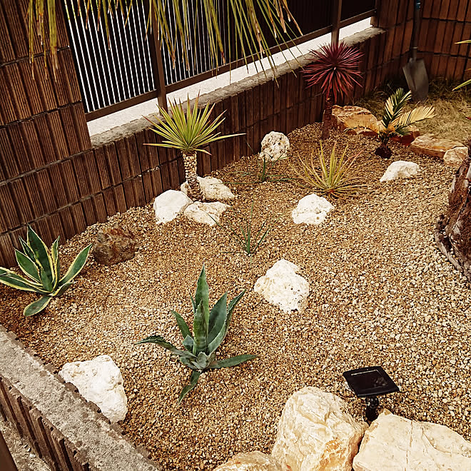 庭 ヤシの木 南国風 No Green No Life ココスヤシ などのインテリア実例 19 04 14 12 27 00 Roomclip ルームクリップ