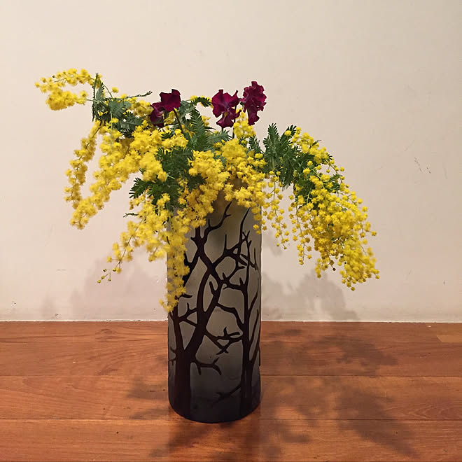 生花を飾る 生花 いけばな ミモザの花 ミモザをいける などのインテリア実例 22 02 12 22 37 10 Roomclip ルームクリップ