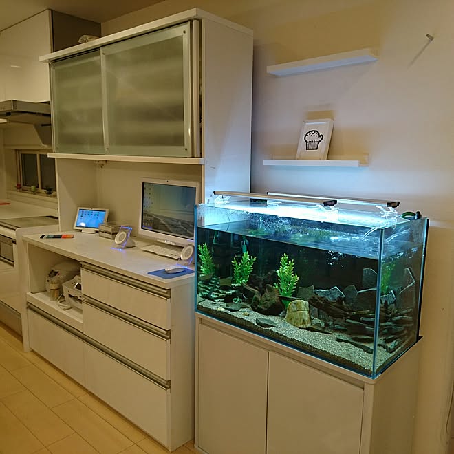 キッチン 水槽 ダイニング 食器棚 パソコン などのインテリア実例 17 04 10 01 10 23 Roomclip ルームクリップ