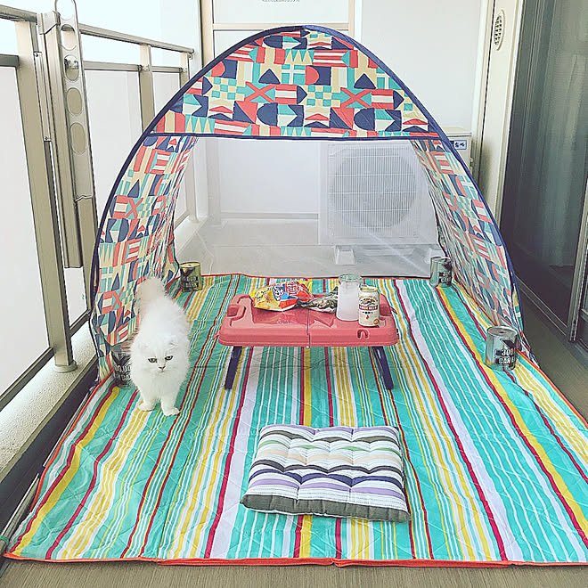 部屋全体 ベランダ ポップアップテント テント キャンプ などのインテリア実例 18 08 08 22 38 01 Roomclip ルームクリップ