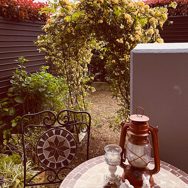 おうち時間 マンション庭 ベランダガーデン モッコウバラのアーチ マンション暮らし などのインテリア実例 04 26 15 58 59 Roomclip ルームクリップ