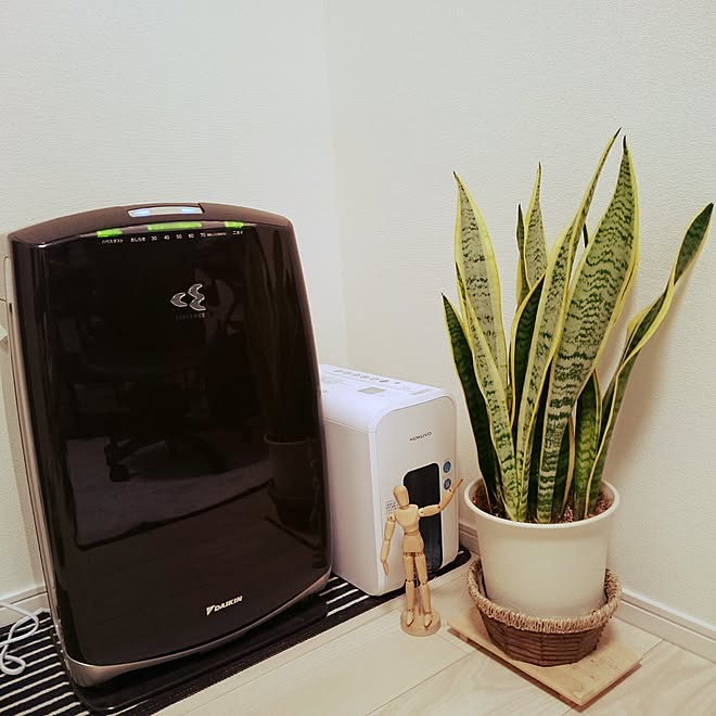 壁 天井 仕事部屋 サンスベリア モデル人形 空気清浄機 などのインテリア実例 15 11 08 11 33 58 Roomclip ルームクリップ