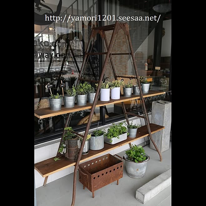 グリーンのある暮らし 観葉植物 脚立 ラダーシェルフ ラダーｄiy などのインテリア実例 17 05 16 12 16 38 Roomclip ルームクリップ