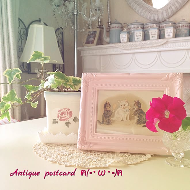 1969組 アイビーを増やし中 フレンチカントリー ロマンチックガーリー フレンチガーリー などのインテリア実例 17 06 27 15 09 53 Roomclip ルームクリップ