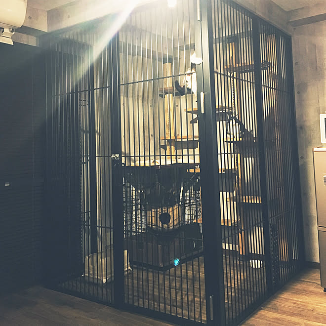 リビング 猫専用 檻 柵 猫部屋のインテリア実例 18 02 06 08 30 22 Roomclip ルームクリップ