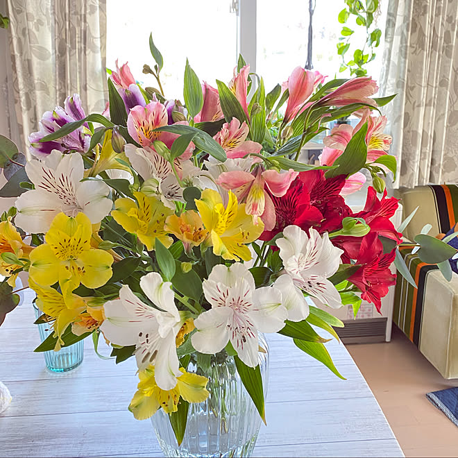 アルストロメリア 花のある暮らし グリーンのある暮らし 癒しのグリーン達 みどりのある暮らし などのインテリア実例 22 03 06 23 15 22 Roomclip ルームクリップ