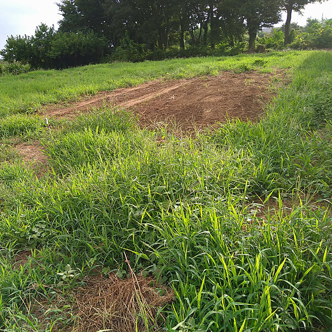 部屋全体 土地 150坪 新築一戸建て 平屋のインテリア実例 08 30 07 22 43 Roomclip ルームクリップ