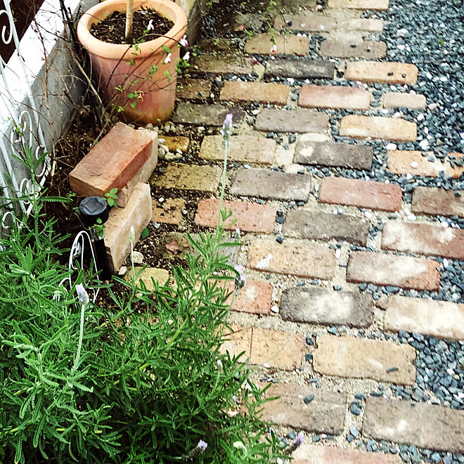 アイアンフェンス 庭 砂利 レンガ ラベンダー などのインテリア実例 05 27 22 54 32 Roomclip ルームクリップ