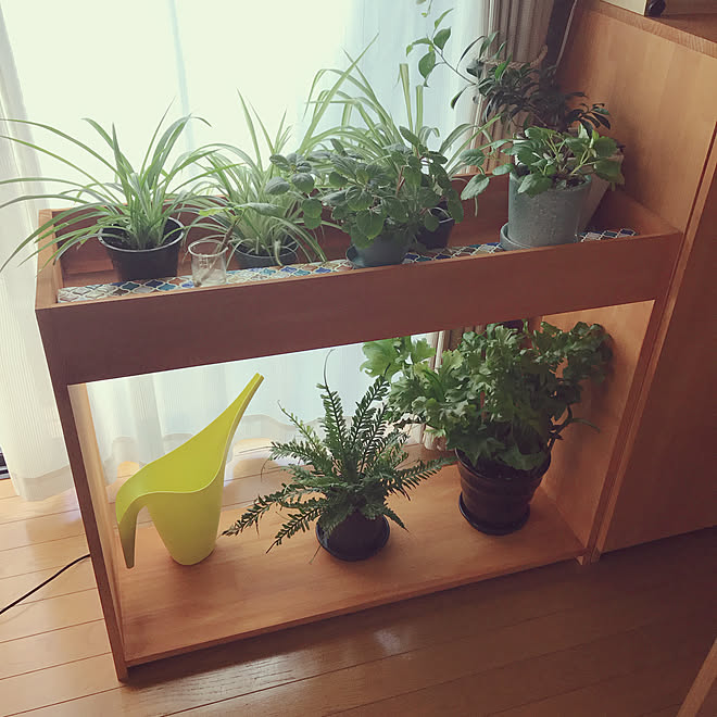 部屋全体 観葉植物用の棚 Diy Diy 北欧ナチュラル みどりのある暮らし などのインテリア実例 18 10 05 22 02 27 Roomclip ルームクリップ