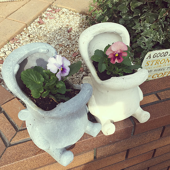 いつも見て下さり有難うございます 冬の花 小さな庭 カバの植木鉢 パンジー などのインテリア実例 11 01 15 26 30 Roomclip ルームクリップ