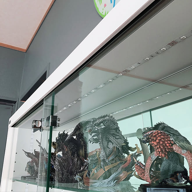 合同会社HKの「地球家具 コレクションラック DIO ディオ 引き戸 ワイド ハイタイプ 鍵付 」モニター | RoomClip(ルームクリップ) 合同会社HKの「地球家具 コレクションラック DIO ディオ 引き戸 ワイド ハイタイプ 鍵付 」モニター | RoomClip(ルームクリップ)
