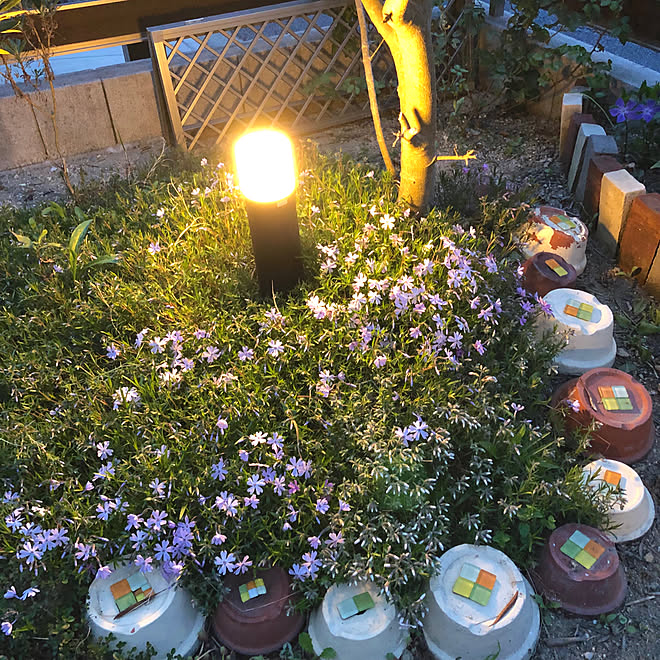 夜桜 カインズ 片付けラクラク木炭付きコンロ お花見気分 おうち時間を楽しむ などのインテリア実例 21 03 22 03 21 Roomclip ルームクリップ